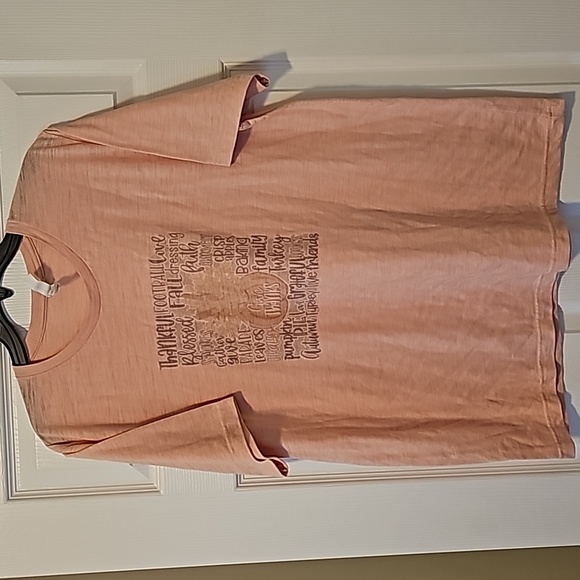 2 fall themed tees, Bella Canvas XL and Gildan 2XL, - Picture 6 of 15